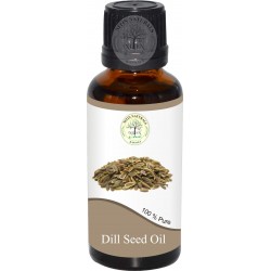 DILL SEED OIL (Anethum Graveolens)