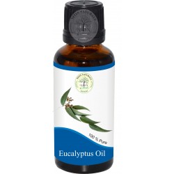 EUCALYPTUS OIL (Eucalyptus Globulus)