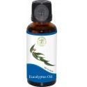 EUCALYPTUS OIL (Eucalyptus Globulus)